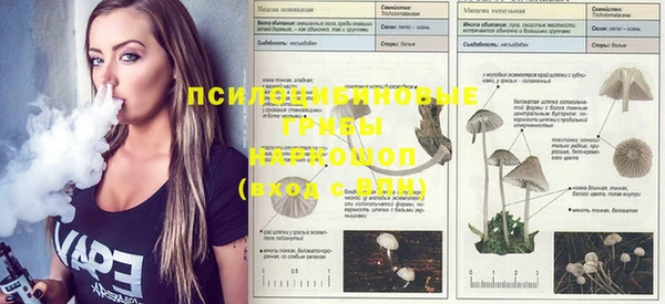 MDMA Premium VHQ Богородицк