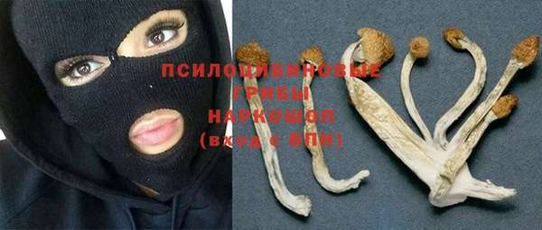 MDMA Premium VHQ Богородицк