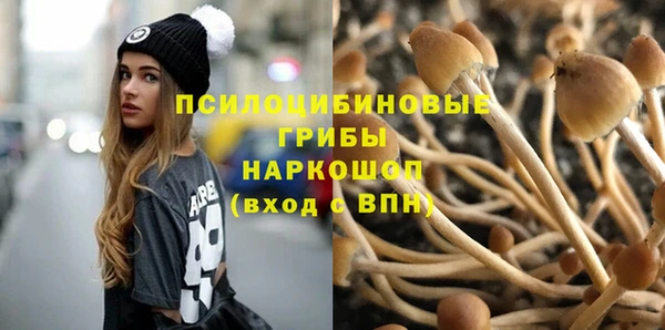 кокаин перу Богданович