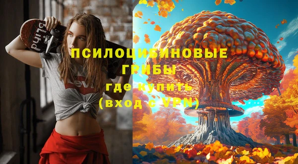 кокаин перу Богданович
