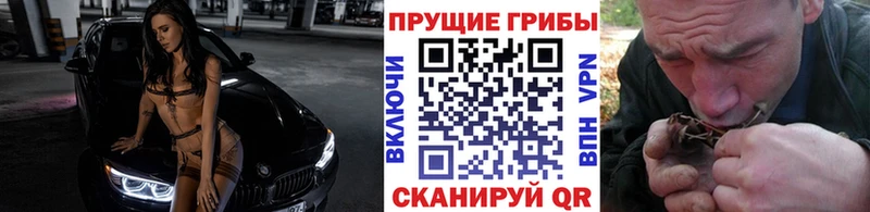 mega зеркало  Реутов  Псилоцибиновые грибы мицелий 
